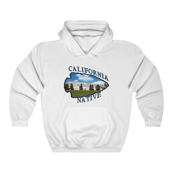 Hoodee Unisex Heavy Blend™ Cali Arrow